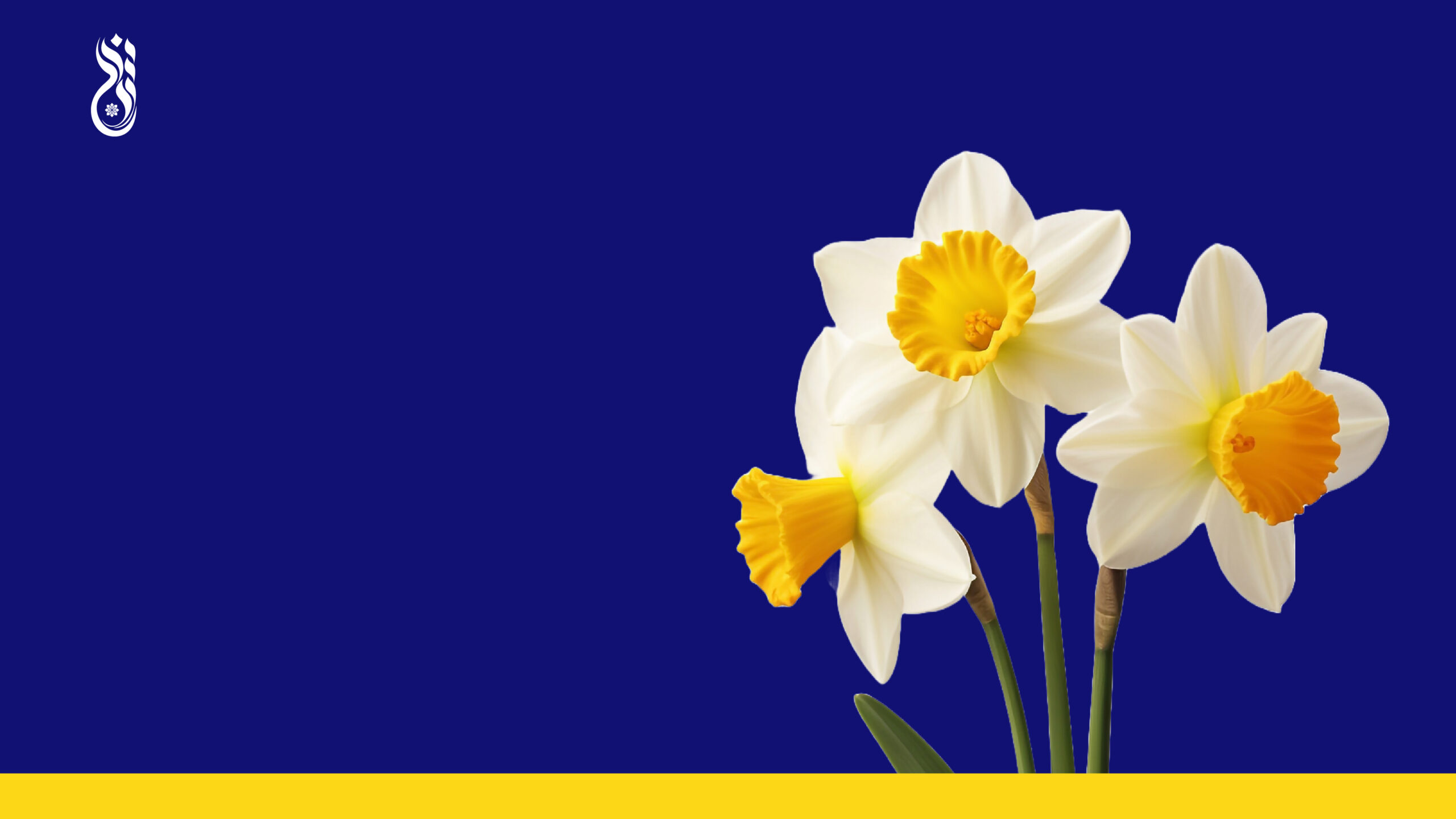 NIA – Website-02