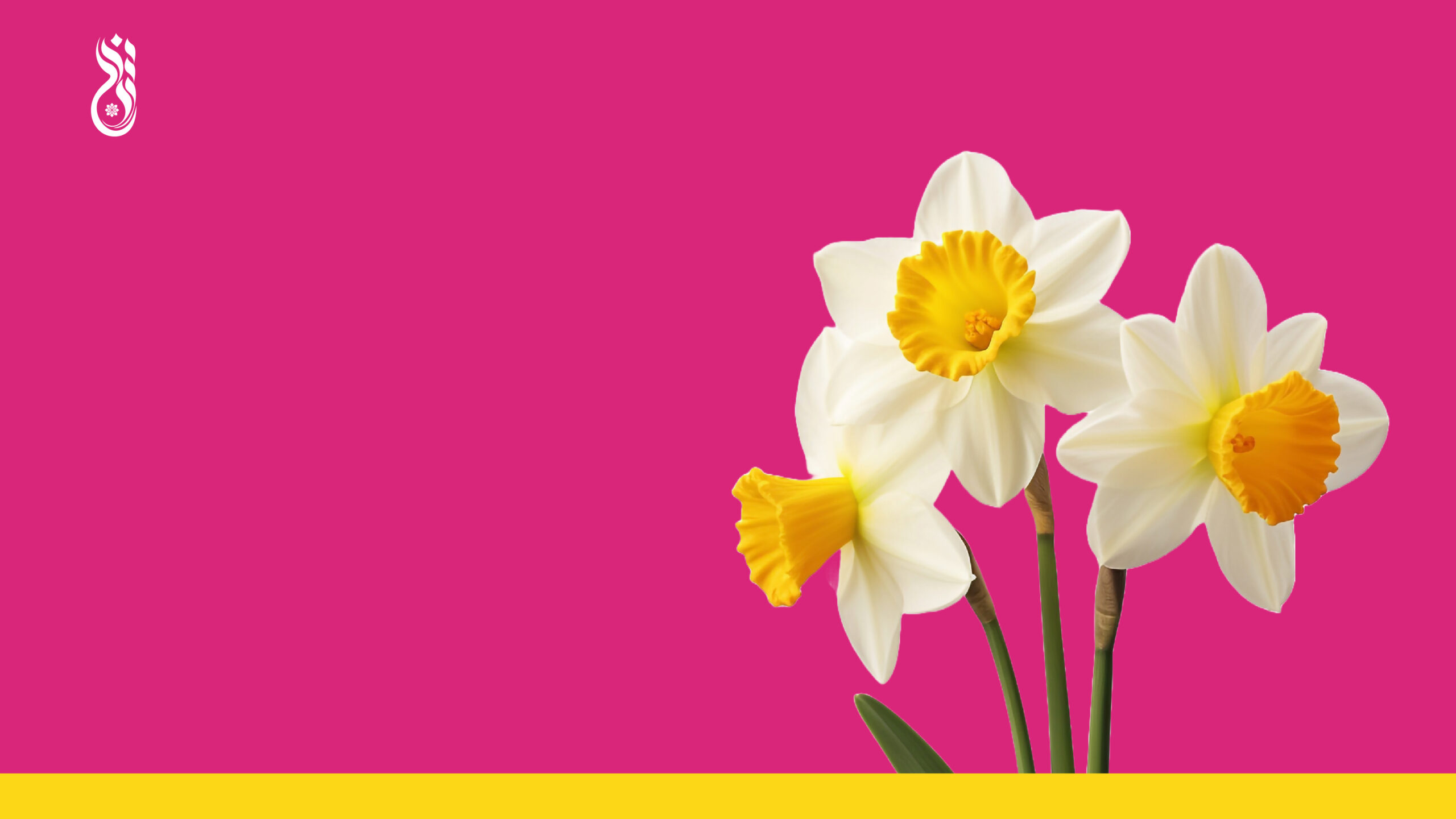 NIA – Website-06